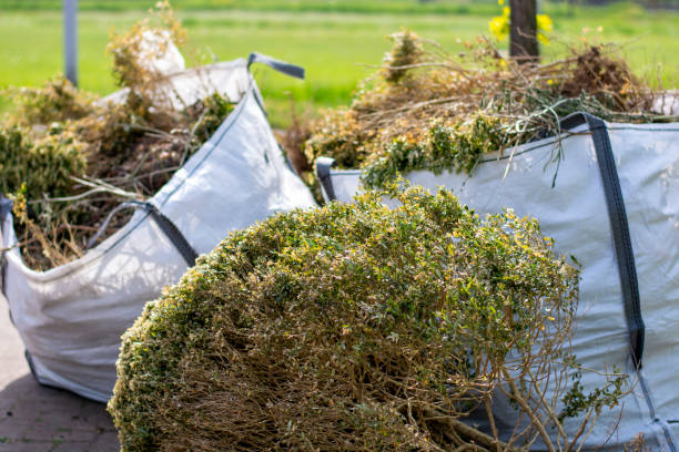 Best Trash Removal Near Me  in Edinboro, PA