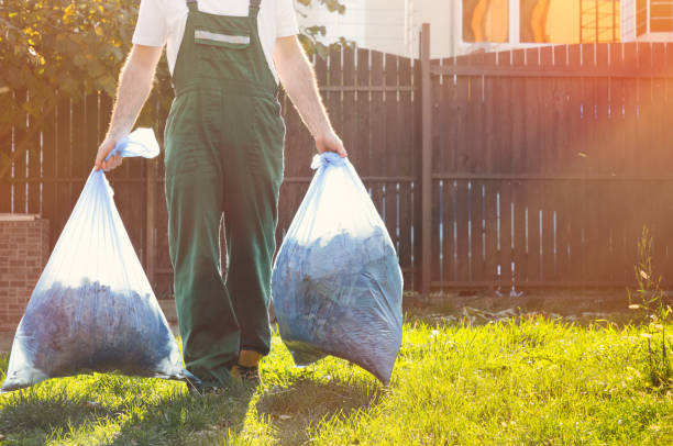 Basement Cleanout Services in Edinboro, PA